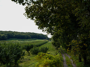 Small & Infinite Briermere Farms