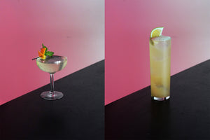 Donut, Ginger, and Look Left Labs