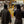Load image into Gallery viewer, Hana Soju 60