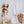 Load image into Gallery viewer, Sorted Fortune