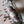 Load image into Gallery viewer, Ambrosia Vodka w/ Almond & Rose