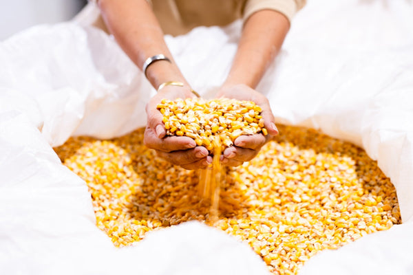 Blingnova Corn Vodka