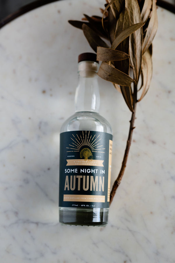 Some Night In Autumn