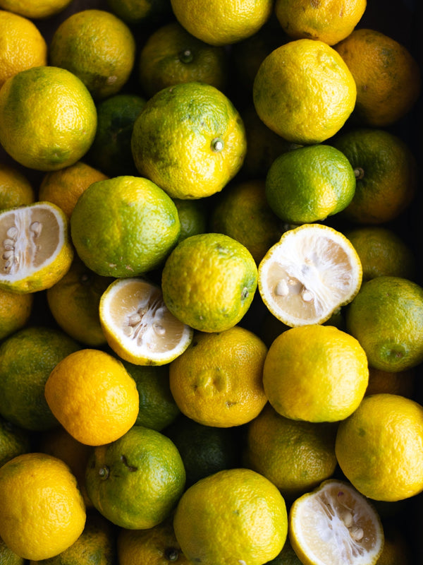 Primates: Wanderlust ≠ Lost Wandering: Yuzu Sec