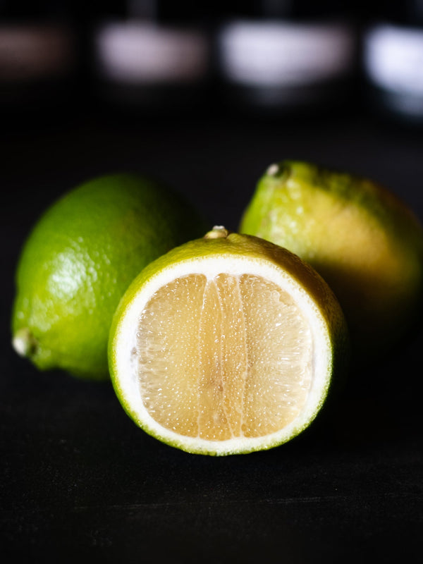 Primates: Forward ≠ Future, Bergamot Sec 2.0