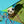 Load image into Gallery viewer, Kite Crash Amaro
