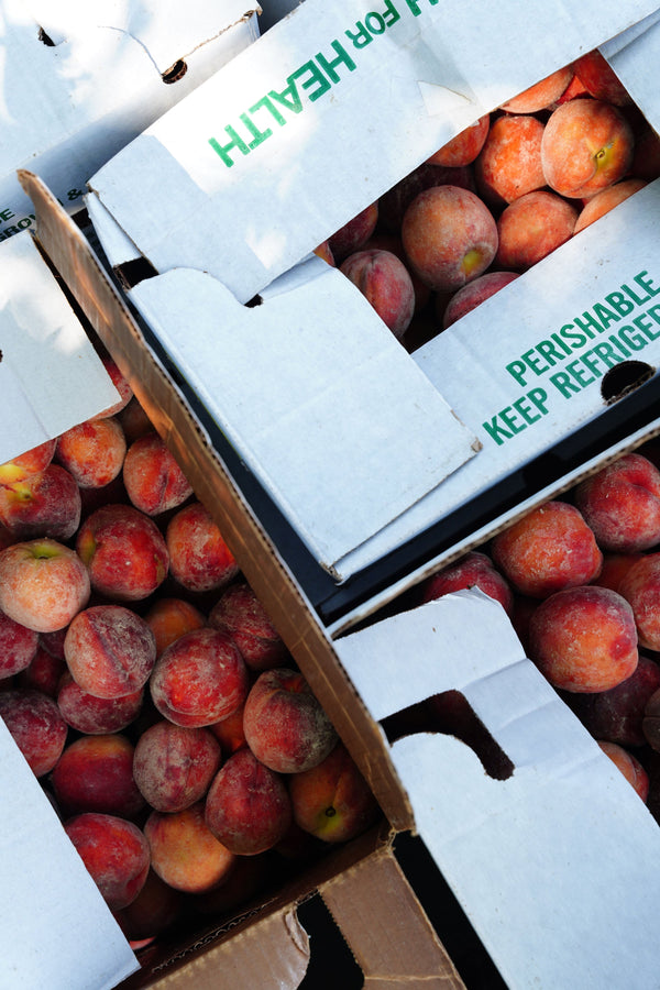 Daytrip Peach Amaro