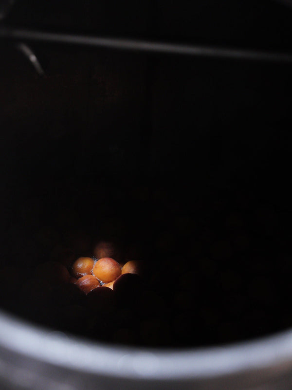 Daytrip Peach Amaro
