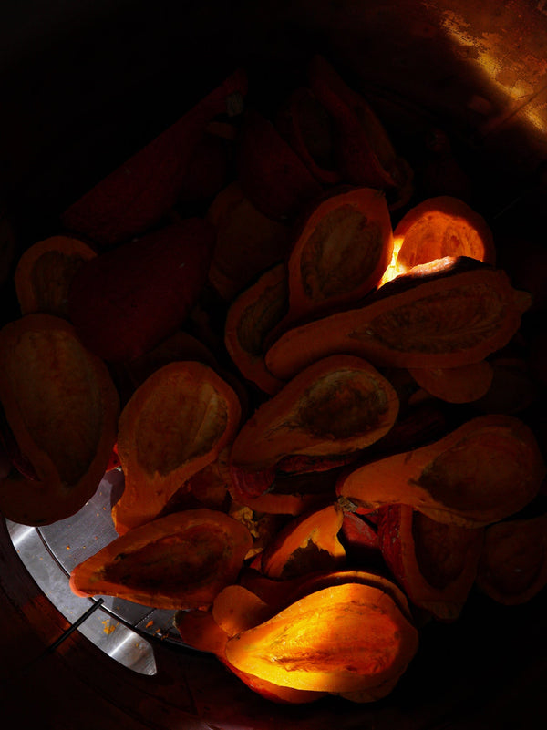 Fieldtrip Squash Amaro
