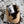 Load image into Gallery viewer, Kistend Bitten Cold Brew Rum
