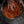 Load image into Gallery viewer, My Bitter Earth