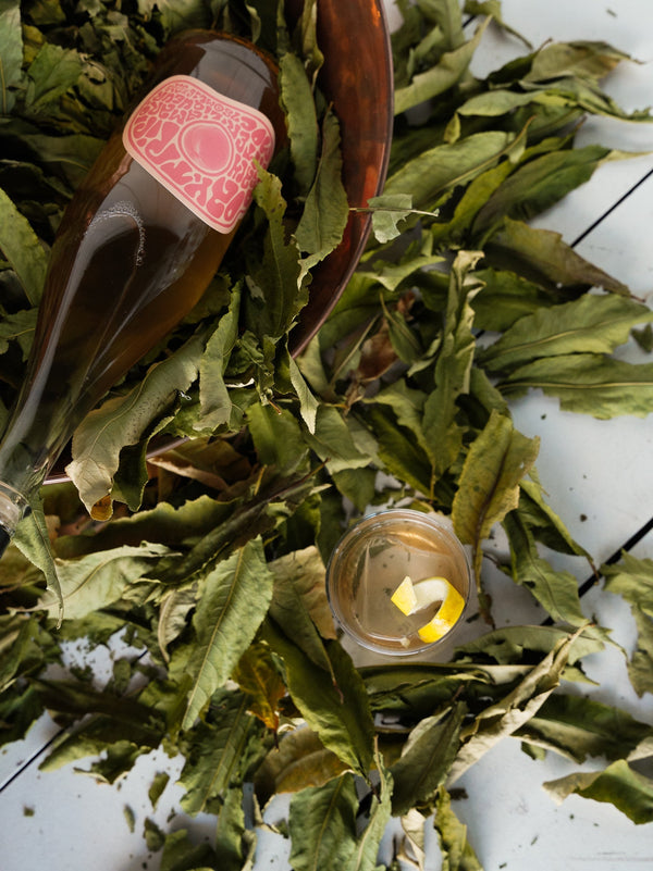 Daytrip Peach Amaro