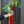 Load image into Gallery viewer, Elsewhere Strawberry Rhubarb Aperitivo