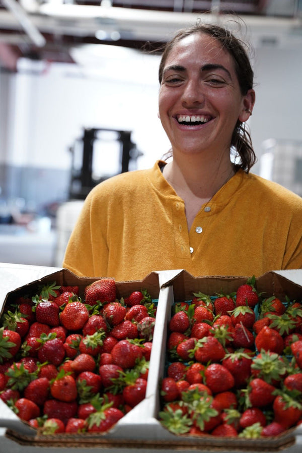 Daytrip Strawberry Amaro