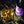 Load image into Gallery viewer, Nocturnal Pursuits Vermouth