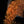 Load image into Gallery viewer, Daytrip Blueberry Amaro