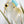 Load image into Gallery viewer, Primates: Farewell ≠ Goodbye: Lemon Sec
