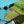 Load image into Gallery viewer, Kite Crash Amaro