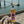 Load image into Gallery viewer, Shady Lady Rum