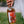 Load image into Gallery viewer, Sunrise Cairns Amaro
