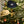 Load image into Gallery viewer, Corduroy Green Matchbook Hat