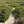 Load image into Gallery viewer, Flamingo Riviera