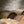 Load image into Gallery viewer, My Bitter Earth