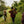 Load image into Gallery viewer, Sunrise Cairns Amaro