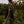Load image into Gallery viewer, Sunrise Cairns Amaro