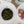 Load image into Gallery viewer, Sunrise Cairns Amaro