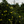 Load image into Gallery viewer, From The Cost Cider