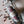 Load image into Gallery viewer, Ambrosia Vodka w/ Almond &amp; Rose
