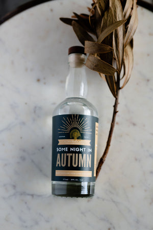 Some Night In Autumn