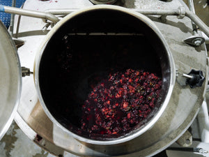 Moon Blight Plum Nocino
