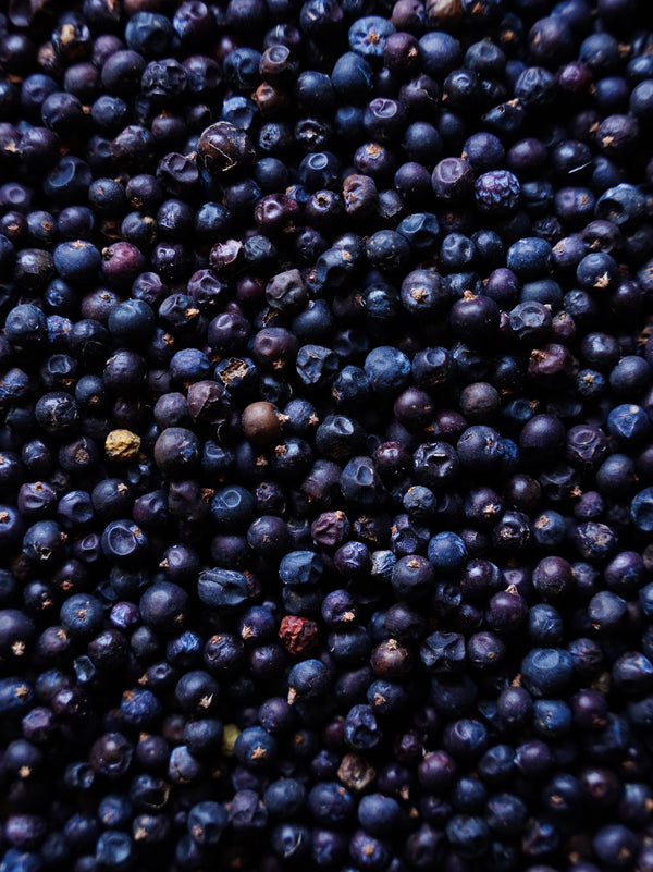 A Land of Muses Gin