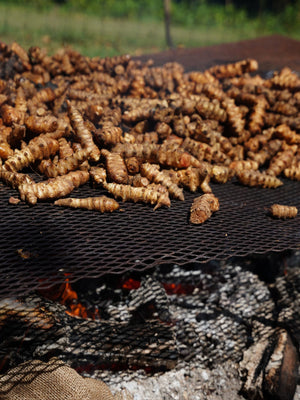 Late Embers Sunchoke + Honey