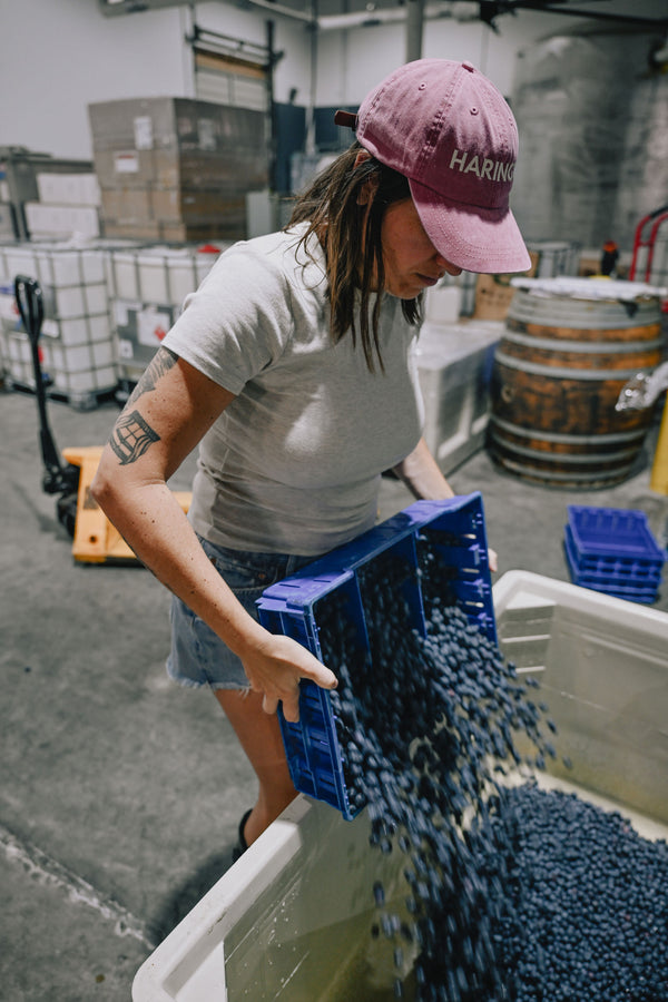 Daytrip Blueberry Amaro