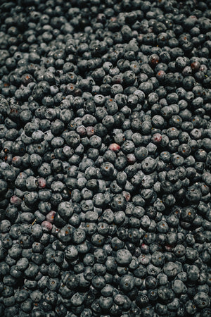 Daytrip Blueberry Amaro