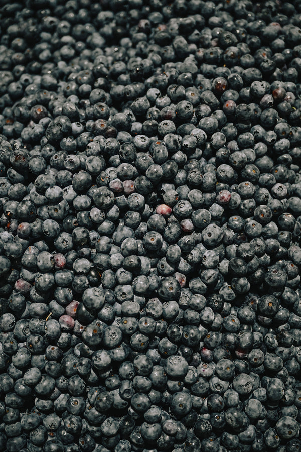 Daytrip Blueberry Amaro
