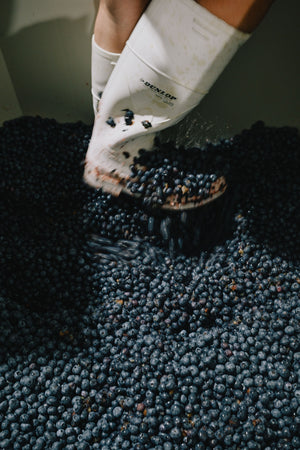 Daytrip Blueberry Amaro