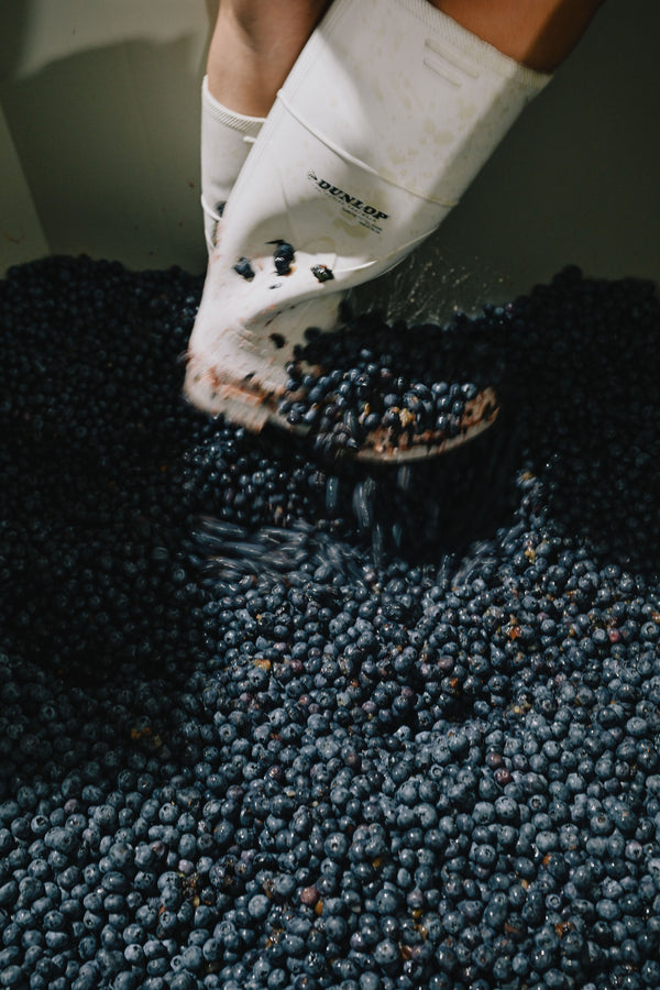 Daytrip Blueberry Amaro
