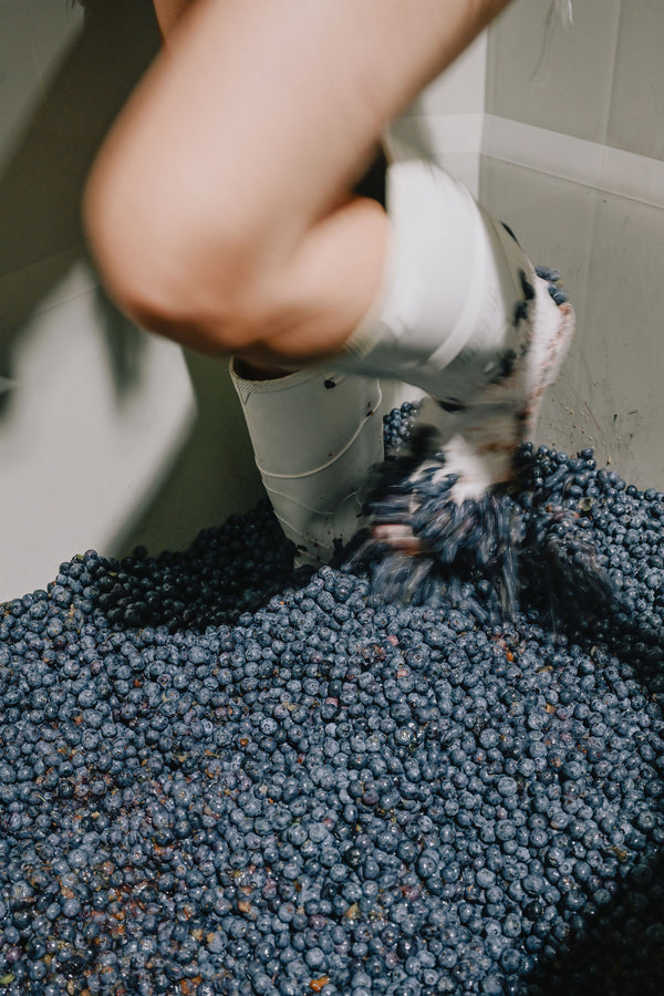 Daytrip Blueberry Amaro